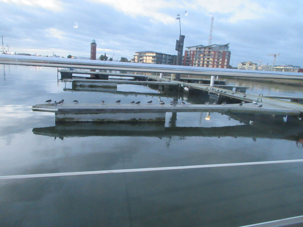 2026.10.04 004 Törn 2026 Tag 097 Cuxhaven Hooksiel